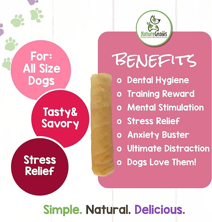 Nature Gnaws Pork Skin Chews for Dogs - Premium Natural Tasty Jerky Treats - Long Lasting Dog Chew Bones - Rawhide Free 6 Count (Pack of 1)