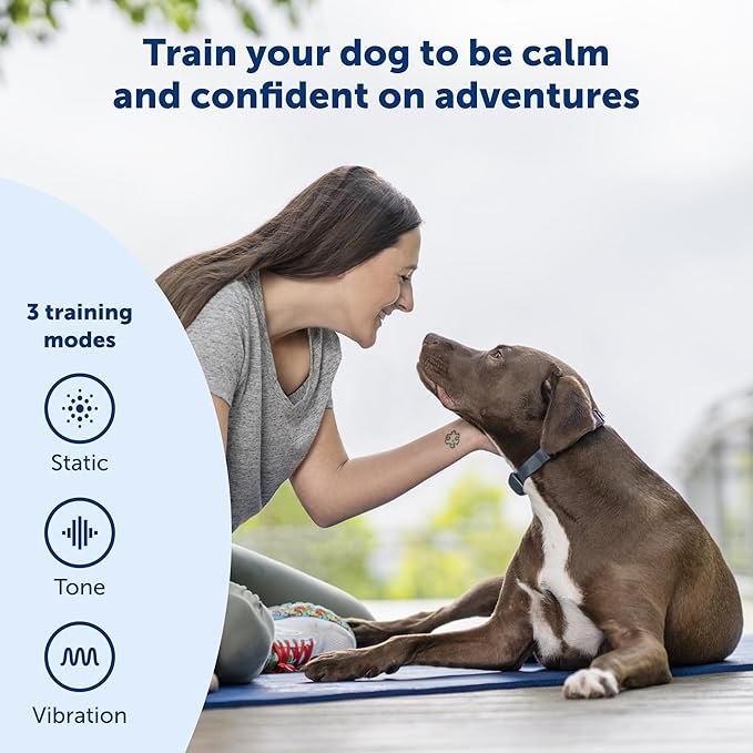 PetSafe 600 Yard Remote Training Collar Choose from Tone, Vibration, or 15 Levels of Static Stimulation Medium Range Option for Training Off Leash Dogs Waterproof and Durable Rechargeable