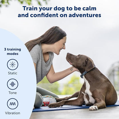 PetSafe 600 Yard Remote Training Collar Choose from Tone, Vibration, or 15 Levels of Static Stimulation Medium Range Option for Training Off Leash Dogs Waterproof and Durable Rechargeable