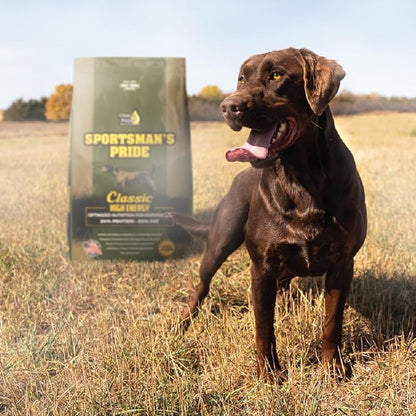 Classic 24/20 High Energy Dry Dog Food, 40-lb Bag