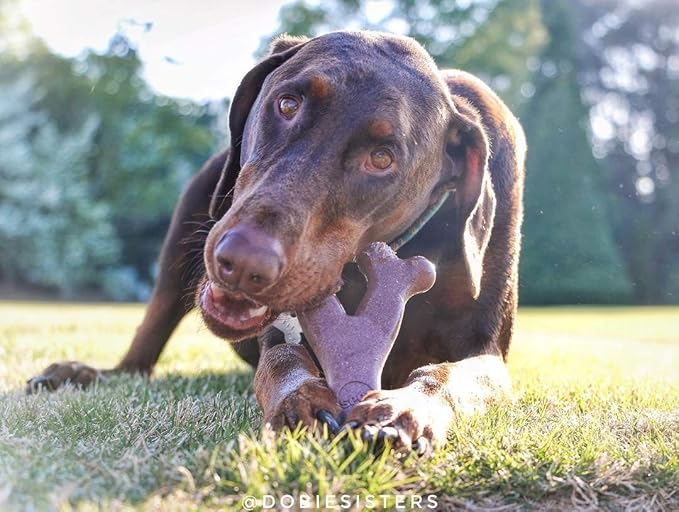SPOT Bam-Bones Wishbone - Made with Strong Bamboo Fiber, Durable Long Lasting Dog Chew for Light to Moderate Chewers, Great Toy for Adult Dogs & Teething Puppies Under 30lbs, 5.25in, Bacon Flavor
