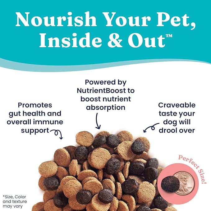 Solid Gold Dry Dog Food for Adult & Senior Dogs - Made with Real Chicken & Brown Rice - NutrientBoost Hund-N-Flocken Healthy Dog Food for Weight Management & Better Digestion