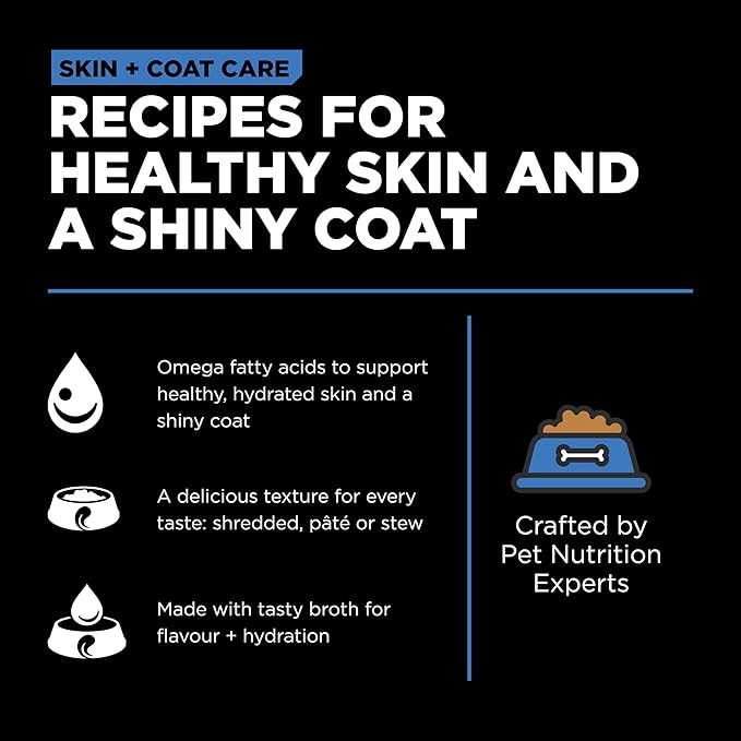 GO! SOLUTIONS Skin + Coat Care Wet Dog Food - Shredded Chicken Recipe with Grains - Complete & Balanced Nutrition for All Life Stages, 12.5 oz
