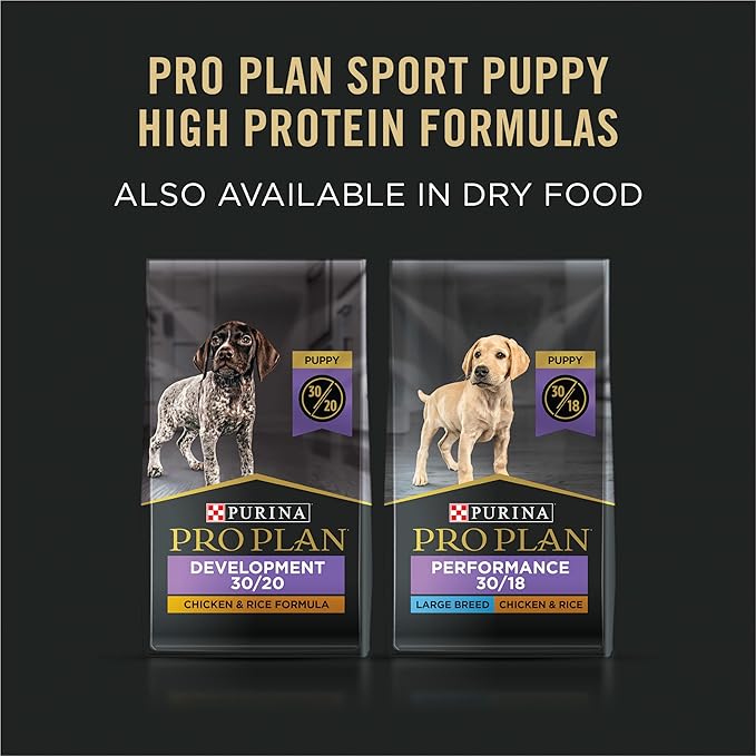 Purina Pro Plan Sport High Protein Puppy Food Beef & Rice Wet Formula - (Pack of 12) 13 oz. Cans