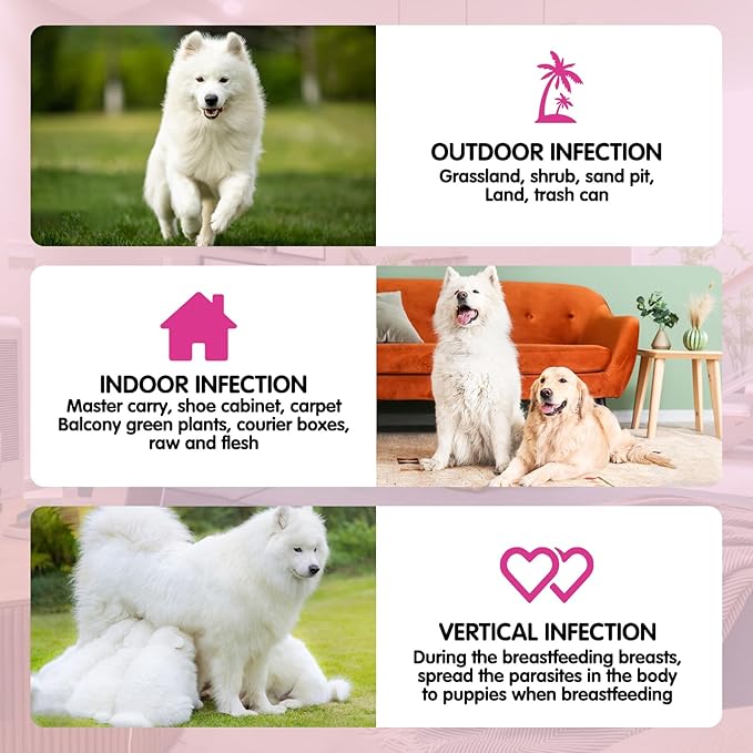 Flea & Tick Prevention for Dogs Chewable, 120 Flea and Tick Supplement for Dogs, Dog Flea & Tick Control Supplement, Flea and Tick Chews for Dogs, Oral Flea Pills for All Dogs