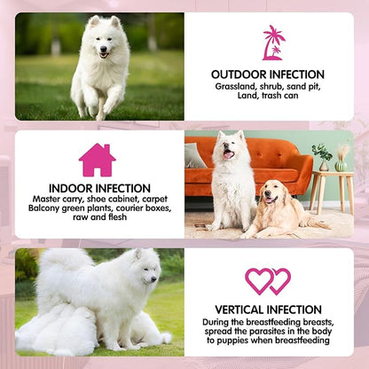 Flea & Tick Prevention for Dogs Chewable, 120 Flea and Tick Supplement for Dogs, Dog Flea & Tick Control Supplement, Flea and Tick Chews for Dogs, Oral Flea Pills for All Dogs