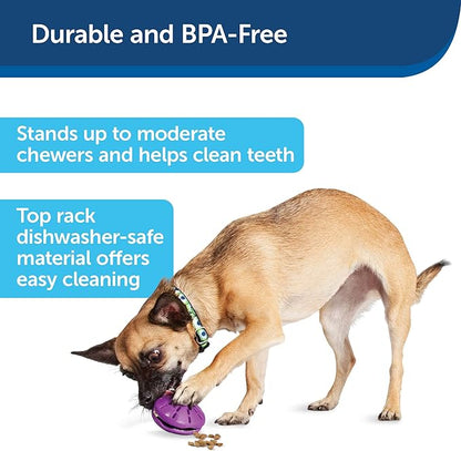 PetSafe Busy Buddy Twist 'n Treat Dispensing Dog Toy - Small
