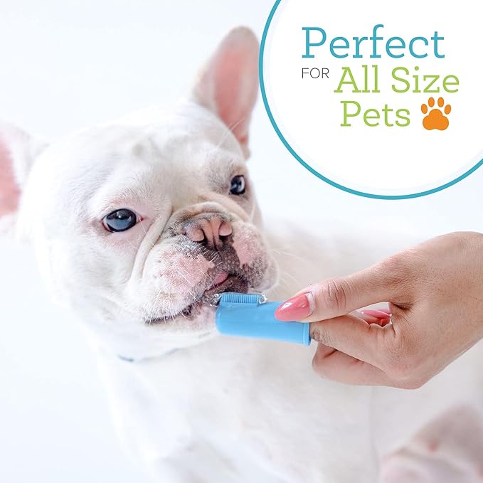 Oxyfresh Premium Pet Toothbrush – Easy Dog Teeth Cleaning – Helps Remove Plaque & Tartar – Gentle on Gums – includes 6 Soft Cat & Dog Finger Toothbrushes (Large)