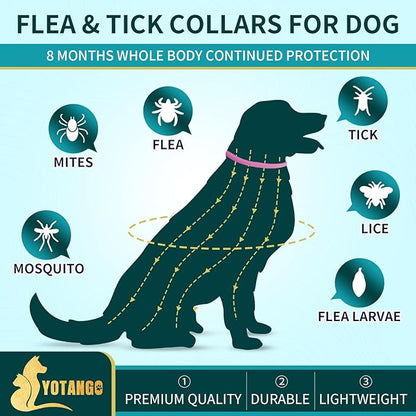 4 Pack Flea Collar for Dogs, Dog Flea and Tick Collar 8 Months Flea and Tick Treatment Prevention for Dogs, Waterproof Adjustable Dog Flea Collar Natural Tick and Flea Collar for Dogs (Oragne&Pink)