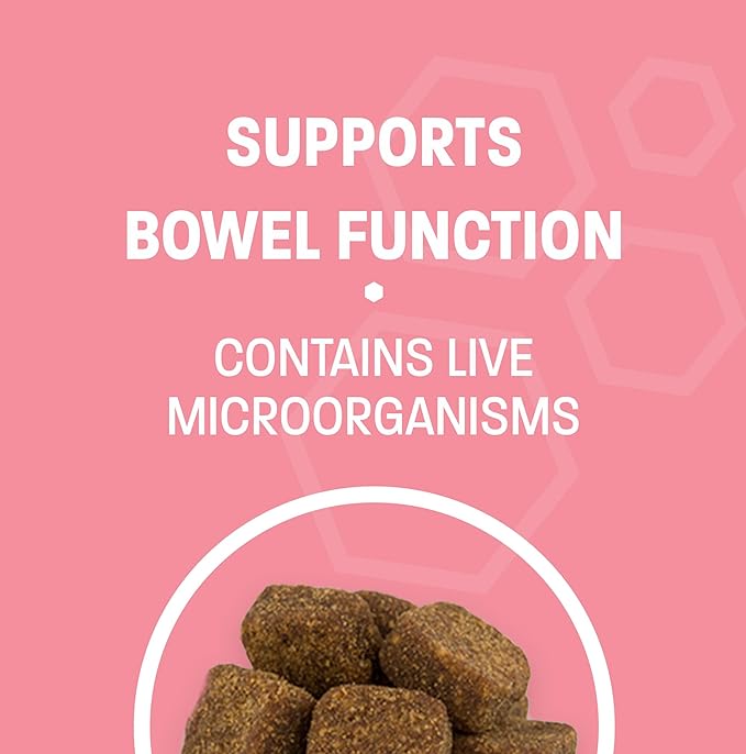 Advanced Probiotics for Dogs - Probiotic Soft Chew for Upset Stomach, Diarrhea & Constipation Relief - Promotes Happy Gut, Happy Dog - 60 ct