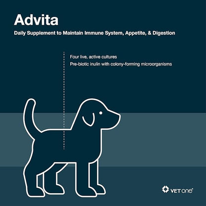 Vet One Advita™ Probiotic Powder for Dogs, a Daily Nutritional Supplement to Maintain Immune System, Appetite, & Digestion in 30, 1g Packets (3-Pack)