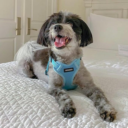 Best Pet Supplies Voyager Adjustable Dog Harness with Reflective Stripes for Walking, Jogging, Heavy-Duty Full Body No Pull Vest with Leash D-Ring, Breathable All-Weather - Harness (Baby Blue), L