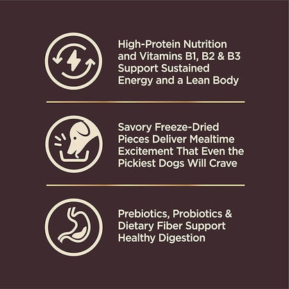 Wellness CORE+ Dry Dog Food with Wholesome Grains, Natural Ingredients, Made in USA with Real Freeze-Dried Meat (Adult, Turkey, 4 lbs)