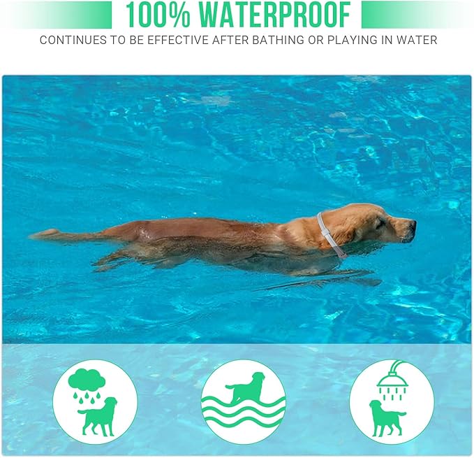 Flea and Tick Collar for Large Dogs with Flea Comb,8-Month Tick and Flea Control for Dogs Above 18 Lbs,Safe & Allergy Free, Waterproof, Adjustable,2 Pack