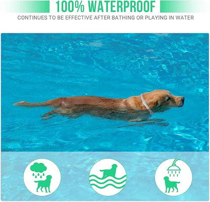 Flea and Tick Collar for Large Dogs with Flea Comb,8-Month Tick and Flea Control for Dogs Above 18 Lbs,Safe & Allergy Free, Waterproof, Adjustable,2 Pack