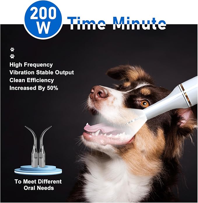 5 Modes Plaque Remover for Teeth,Dog Teeth Cleaning Kit,Dog Teeth Cleaning, Dental Tools to Remove Tartar and Stains, Safe for Dogs & Cats, with Led Light & 5 Adjustable Modes (White)