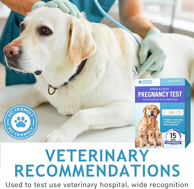 Dog Pregnancy Test Kit at Home, White, Fast and Accurate Detection, Pregnancy Tests Strip for Dog Disposable Pet Clinic Equipment, Simple Operation for Early Pregnancy Detection Yourself at Home