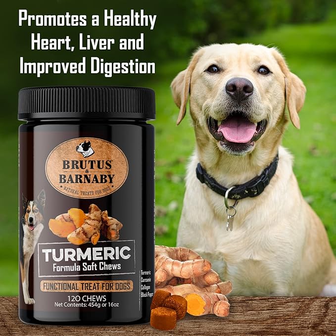 BRUTUS & BARNABY Turmeric for Dogs- Organic Turmeric with Curcumin, Soft Chews with Collagen and Bioprene Provides Hip and Joint Support Reduces Inflammation from Arthritis