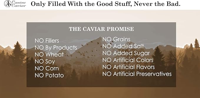 Canine Caviar Wet Dog Food - Turkey Flavored Canned Dog Food 12 Pack (12 oz), Grain and Synthetic Free Gourmet Topper, Wet Dog Food for Small Dogs, Medium Dogs, and Large Dogs
