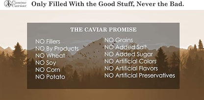 Canine Caviar Wet Dog Food - Turkey Flavored Canned Dog Food 12 Pack (12 oz), Grain and Synthetic Free Gourmet Topper, Wet Dog Food for Small Dogs, Medium Dogs, and Large Dogs