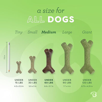 Benebone Maplestick Durable Dog Chew Toy for Aggressive Chewers, Real Maplewood, Made in USA, Medium