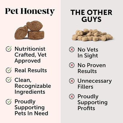 Pet Honesty All-Natural Probiotic & Pumpkin Powder Dog Supplement - Prebiotics, Probiotics, Enzymes & Antioxidants for Healthy Gut Flora, Anti Diarrhea, Digestion & Immunity (90 scoops)