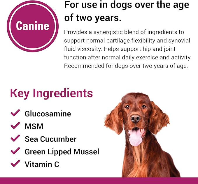 Vet Classics Joint Support Plus Dog Supplement - Hip Health Supplement for Dogs – Alleviates Aches and Discomfort - For Flexibility, Healthy Joint Function in Canines – Antioxidants – 120 Soft Chews