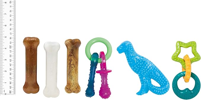 Nylabone Puppy Starter Kit with Chew Toys - Puppy Toys and Chew Treat Bundle - Puppy Supplies - Chicken and Bacon Flavors, Small/Regular (6 Count)