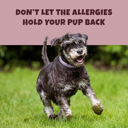 Turmeric + Curcumin - Natural, Human-Grade Allergy Relief Chews, Hip and Joint Supplement, and Anti-Inflammatory for Dogs