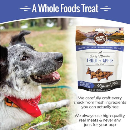 All Natural Dog Treats - Trout & Apple - Training Treats for Dogs with Allergies, Sensitive Stomachs - Soft Dog Treats, Grain Free, Chewy, Human-Grade, Made in USA - 5oz, Pack of 3