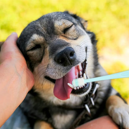 2PCS Dog/Cat Toothbrush, 360 Degree, Safe Material,Soft and Comfortable，Reusable, Deep Clean Fresh Breath Pet Toothbrush (Blue&Pink)
