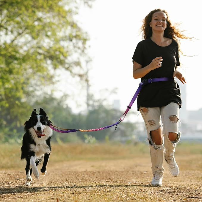 Roses&Poetry Hands Free Dog Leash Heavy Duty,No Pull Bungee Dog Running Waist Leash for Walking Training with Car Seatbelt 4-6FT