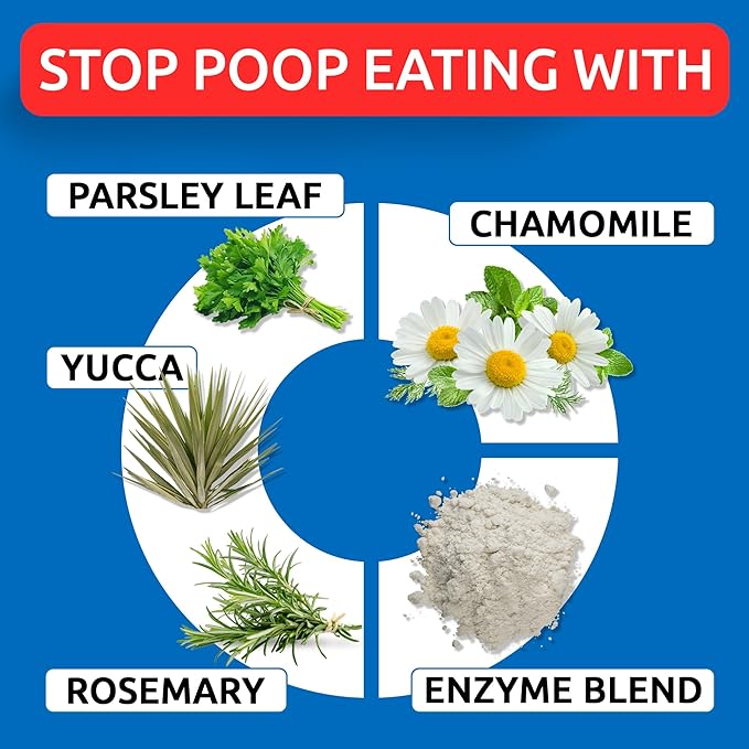 Bark&Spark NO Poo Treats - Prevent Dog Poop Eating - Coprophagia Treatment - Stool Eating Deterrent - Probiotics & Enzymes - Digestive Health + Breath Aid - 120 Soft Chews - USA Made - Chicken Liver