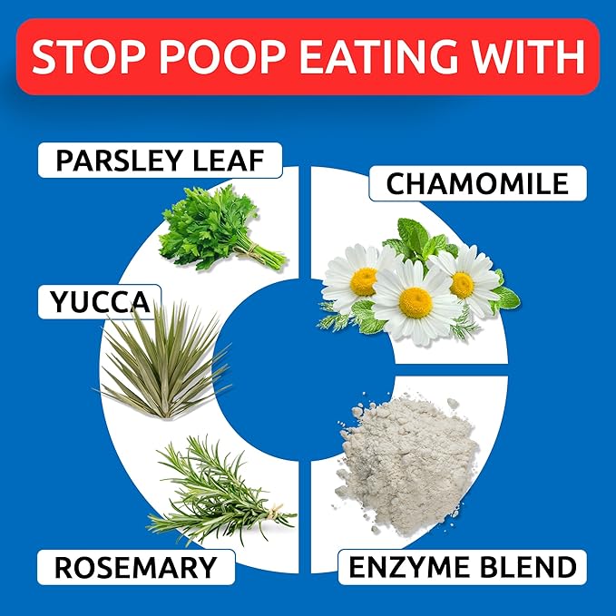 Bark&Spark NO Poo Treats - Prevent Dog Poop Eating - Coprophagia Treatment - Stool Eating Deterrent - Probiotics & Enzymes - Digestive Health + Breath Aid - 120 Soft Chews - USA Made - Chicken Liver