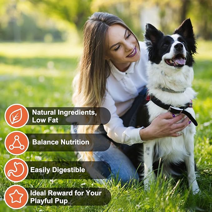 MON2SUN Chicken Jerky for Dogs Made with Real Chicken Breast Dog Snacks, High Protein & Grain Free Training Treats for Small Medium and Large Dogs (Chicken, 21 Ounce -Pack of 1)