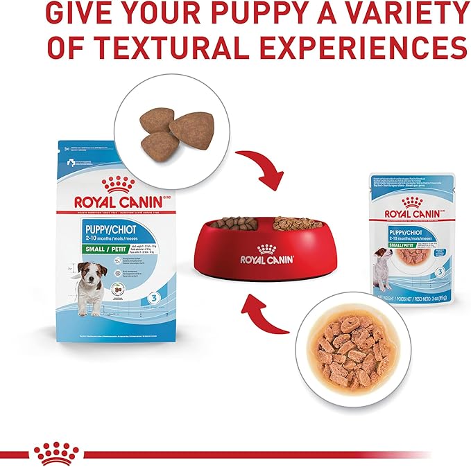 Royal Canin Size Health Nutrition Small Puppy Chunks in Gravy Wet Dog Food, 3 oz pouch (12-count)