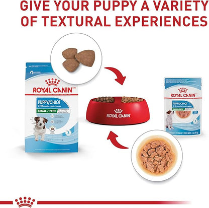 Royal Canin Size Health Nutrition Small Puppy Chunks in Gravy Wet Dog Food, 3 oz pouch (12-count)