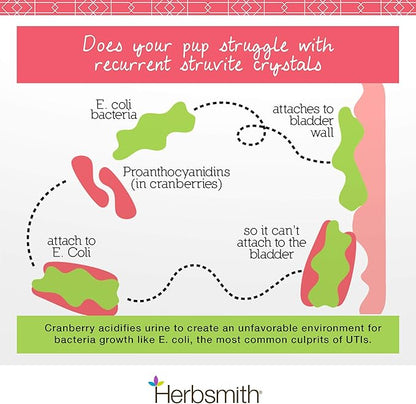 Herbsmith Bladder Care for Cats and Dogs – Maintains Urinary Health for Dogs and Cats – Dog and Cat Kidney Support – 270 Tablets