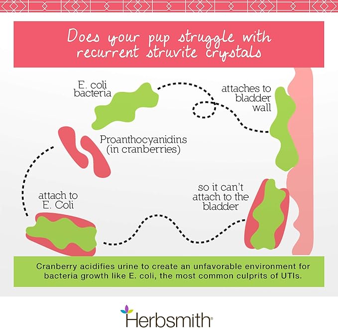 Herbsmith Bladder Care for Cats and Dogs – Maintains Urinary Health for Dogs and Cats – Dog and Cat Kidney Support – 90 Tablets