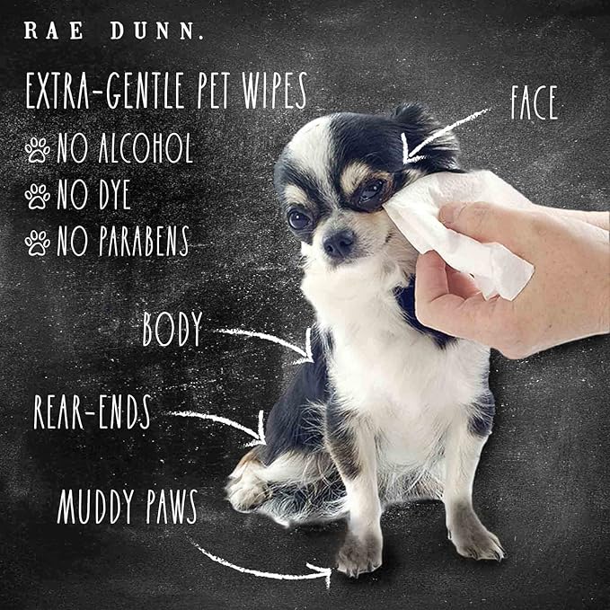 Rae Dunn Pet Wipes, Alcohol Free with Aloe and Vitamin E, Lavender Mint, 150 Count