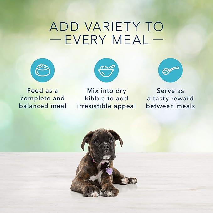 Blue Buffalo Freedom Grain Free Natural Puppy Wet Dog Food, Chicken 12.5oz cans (Pack of 12)