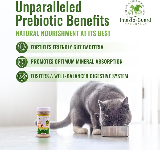 Powder Prebiotic Probiotics for Dogs & Cats Bowel Digestive Immune Support Supports Gut Flora Nutrition Immunity 180G Bottle - 90 Scoops (Powder)