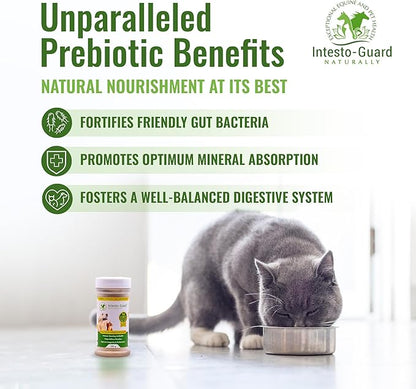 Powder Prebiotic Probiotics for Dogs & Cats Bowel Digestive Immune Support Supports Gut Flora Nutrition Immunity 180G Bottle - 90 Scoops (Powder)