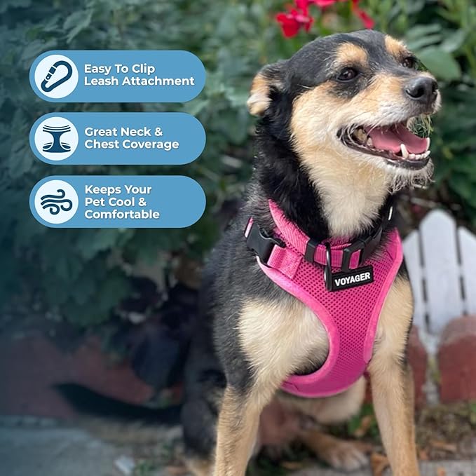 Voyager Step-in Lock Dog Harness w Reflective Dog Leash Combo Set with Neoprene Handle 5ft - Supports Small, Medium and Large Breed Puppies/Cats by Best Pet Supplies - Fuchsia, M