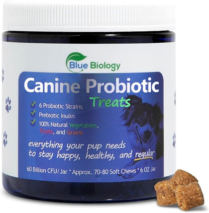 Canine Probiotic Chews for Dogs - Vet Formulated for Digestive & Diarrhea Support - Dog Probiotics for Diarrhea - Probiotics Dog Treats - Dog Digestive Support - Canine Probiotic - (60ct)