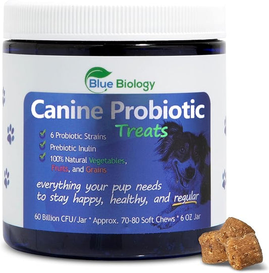 Canine Probiotic Chews for Dogs - Vet Formulated for Digestive & Diarrhea Support - Dog Probiotics for Diarrhea - Probiotics Dog Treats - Dog Digestive Support - Canine Probiotic - (60ct)