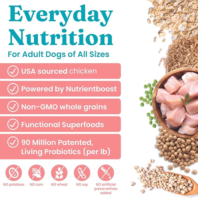 Solid Gold Dry Dog Food for Adult & Senior Dogs - Made with Real Chicken & Brown Rice - NutrientBoost Hund-N-Flocken Healthy Dog Food for Weight Management & Better Digestion