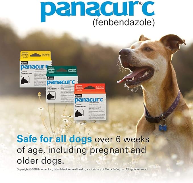 Panacur C Canine Dewormer (fenbendazole), 2 gram,White