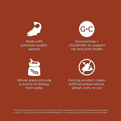 GO! SOLUTIONS Skin + Coat Care Dry Dog Food for Large Breed Adult - Salmon Recipe with Grains - Complete & Balanced Nutrition, 25 lbs
