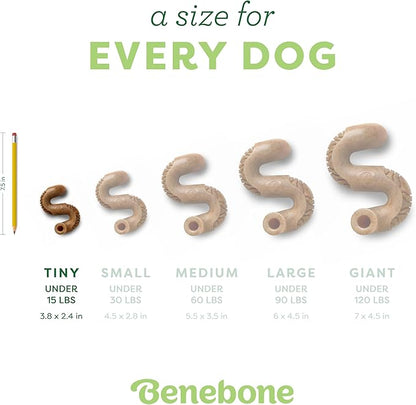 Benebone Tiny 2-Pack, Tripe Bone Durable Dog Chew Toy for Aggressive Chewers, Real Tripe, Made in USA